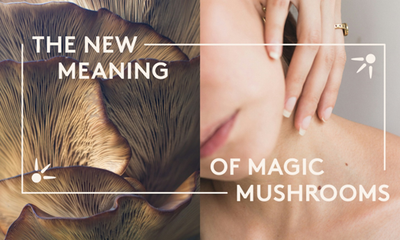 How Mushrooms Help with Healthy Skin. The New Meaning of Magic Mushrooms